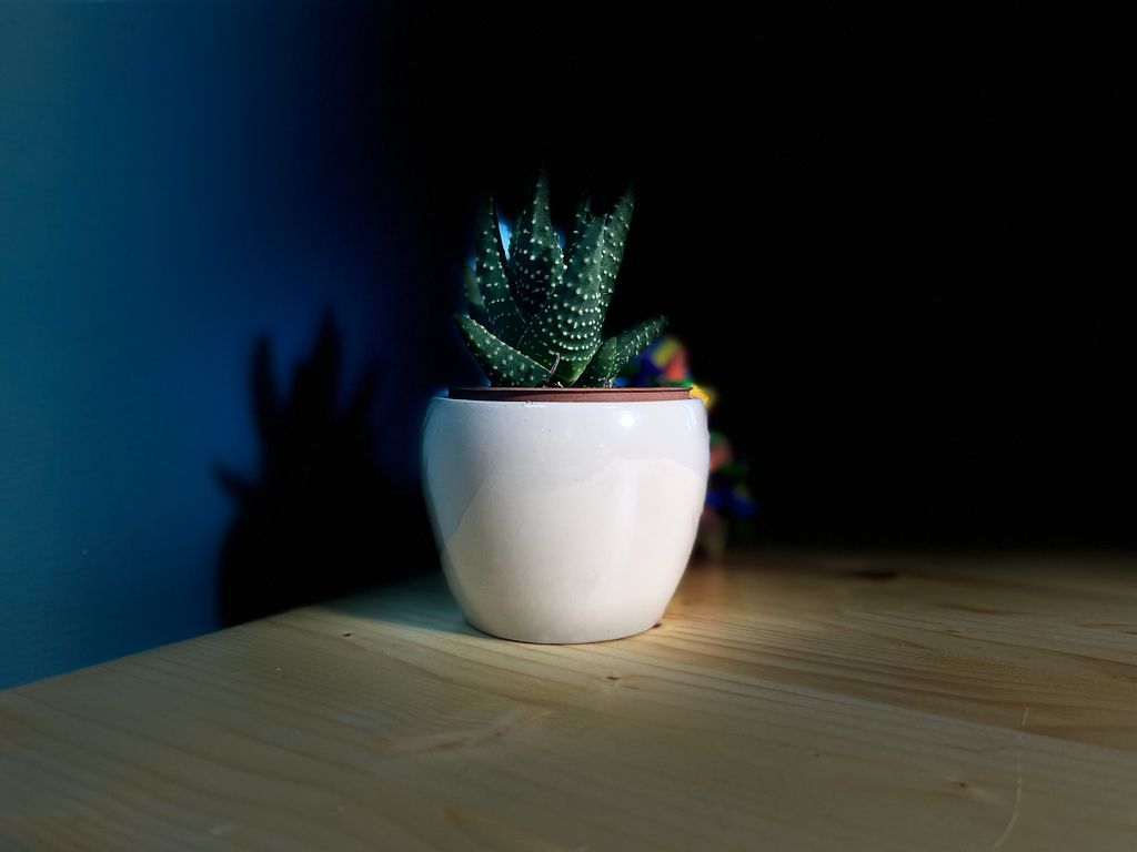 come aprire la partita iva